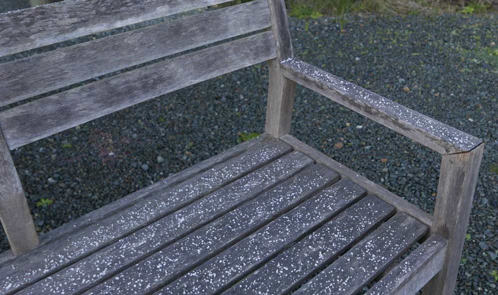 A combination of hail, frost and things generally cold.